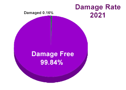 99.84% Damage Free Delivery